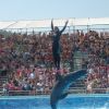 Un momento dello spettacolo al delfinario dello Zoo Safari di Fasano